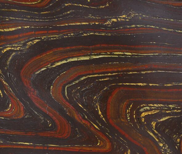 Tiger Iron Stromatolite Shower Tile - Billion Years Old #48785